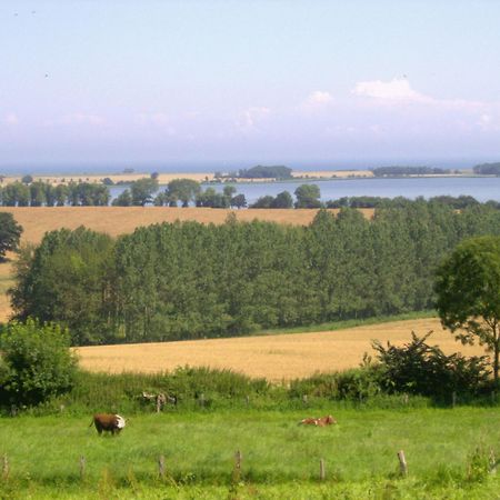 Ferienwohnungen Und Ferienhaus Im Nixenweg Hohwacht Buitenkant foto