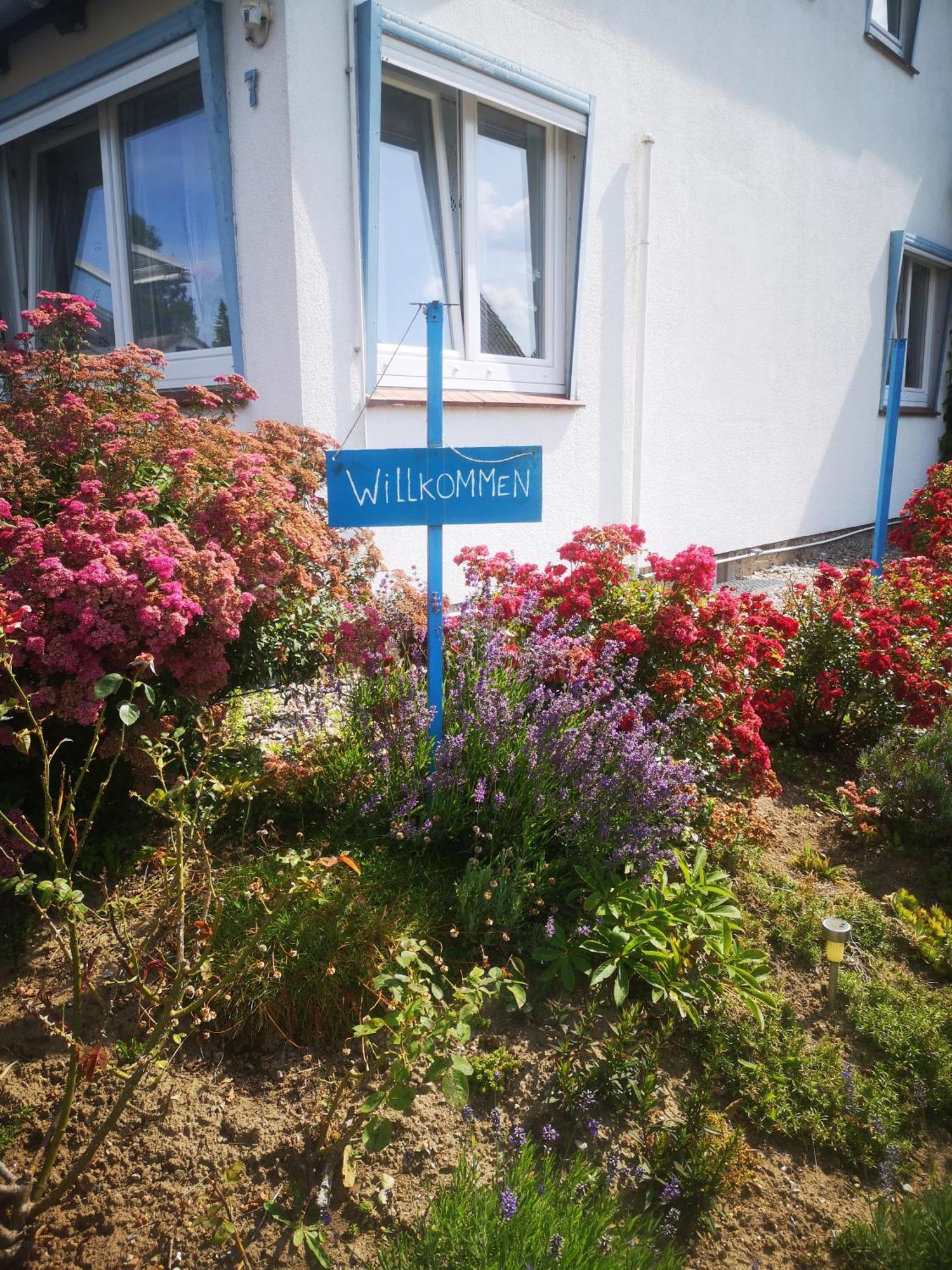 Ferienwohnungen Und Ferienhaus Im Nixenweg Hohwacht Buitenkant foto